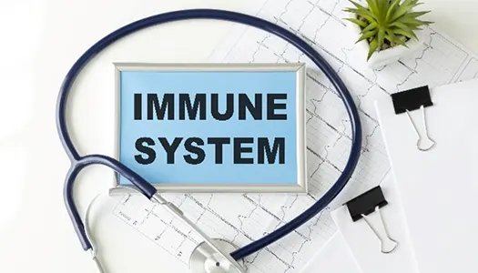 Immune system inflammation