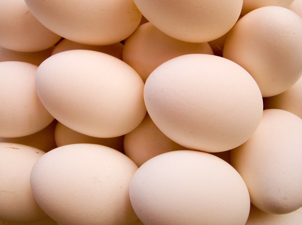 Protein - what it is & why you need it